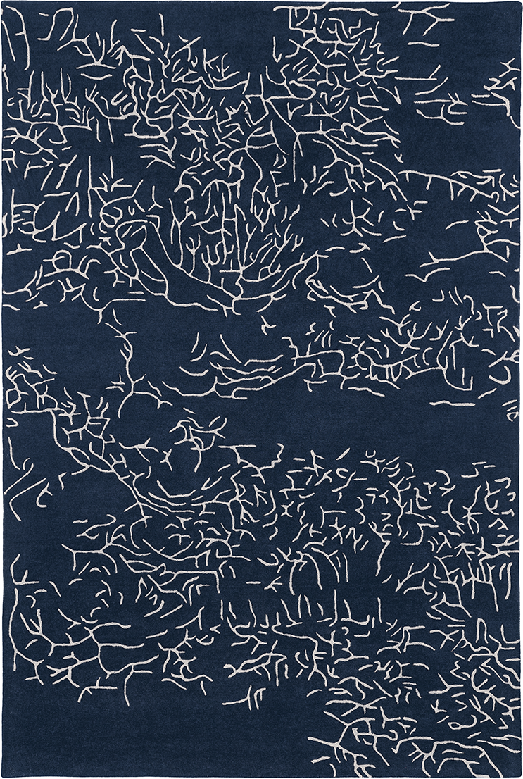 Tapis bleu en laine - Nature Bleu - 1 - Toulemonde Bochart