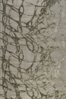 Cassiope